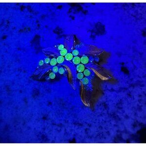 Vtg Crown Trifari  Green Uranium Glass Gold Tone Rhinestone Leaf Brooch Uped